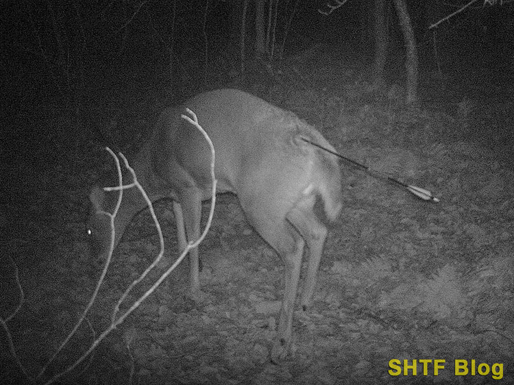 SB 53 DEER 22 Arrow