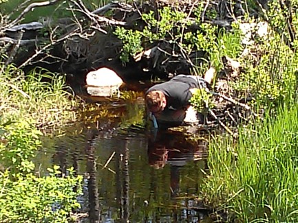 crazy prepper drinking water