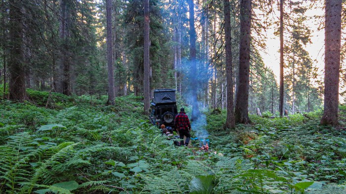 camping in the forest