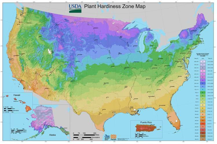 2012 USDA Plant Hardiness Zone Map