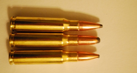 .308 variants