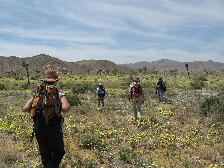 Hiking in Lost Horse Valley