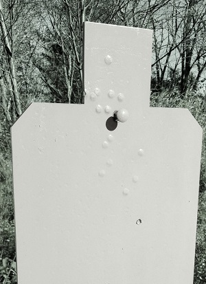 steel range target