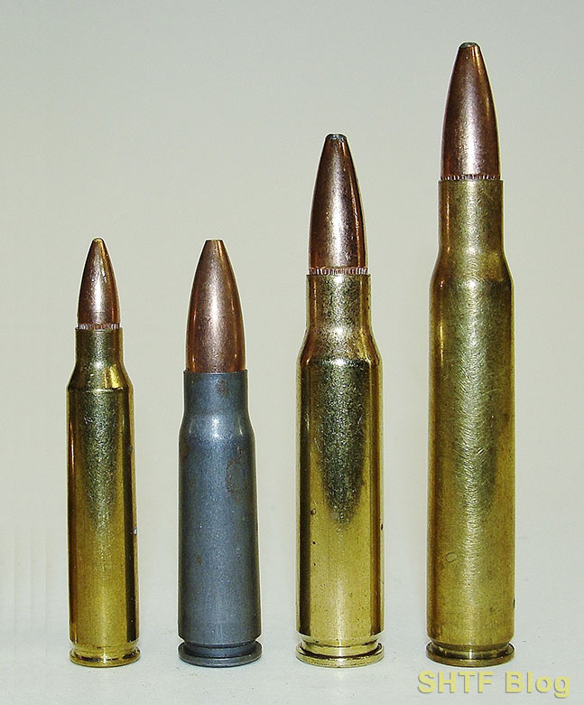 .308 vs .30-06 vs .223 cartridge size comparison