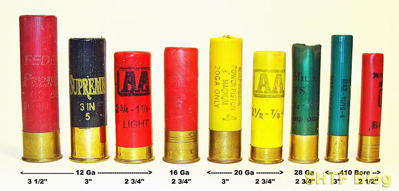 AMMUNITION Shotgun Gauges