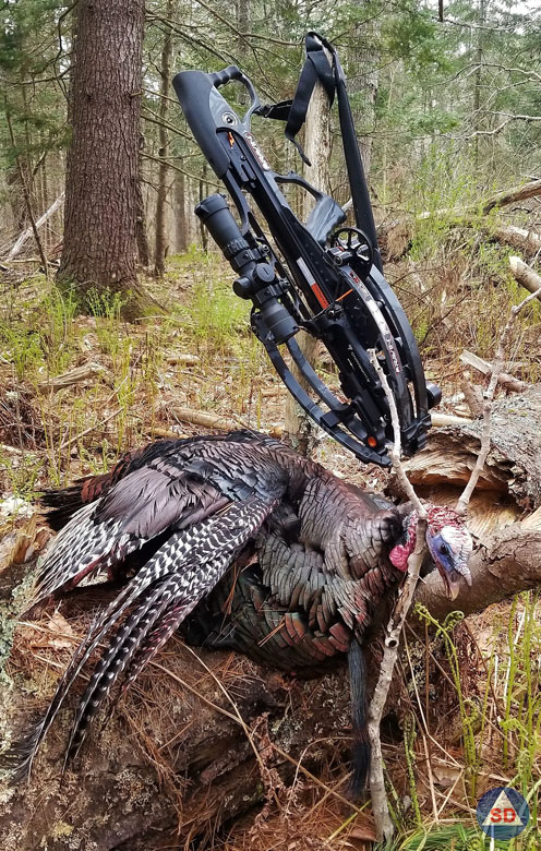 Crossbow and Turkey