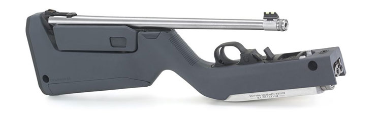 Ruger 10-22