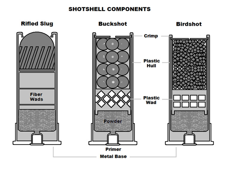 shotgun shell graphic