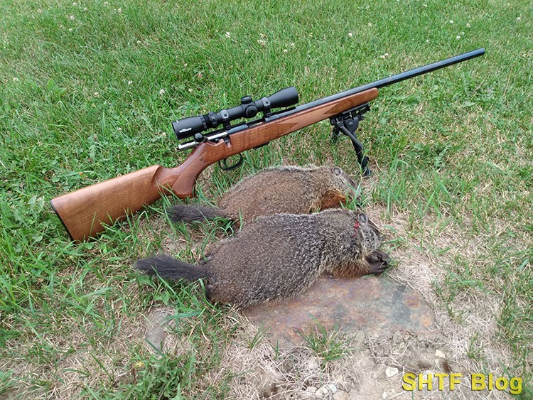 SB 53 DEER 22 Woodchucks