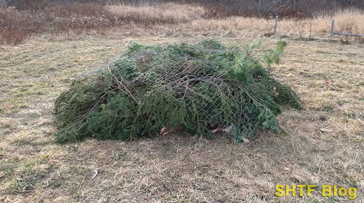 Coyote Bait Pile