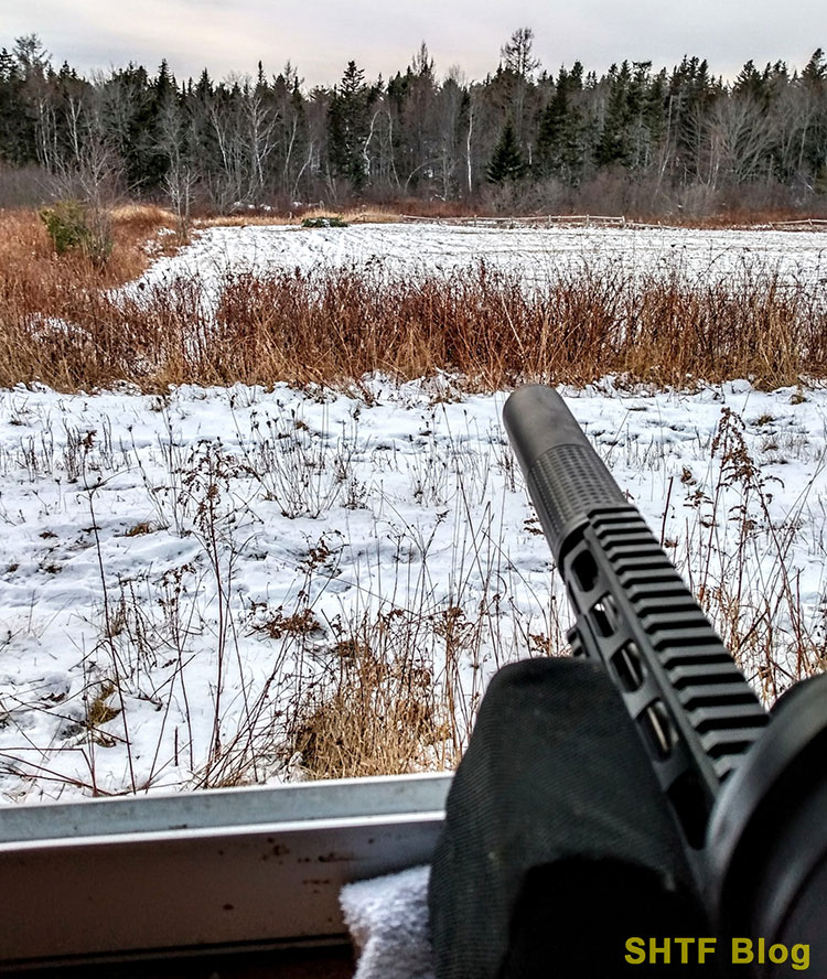 Coyote Bait View