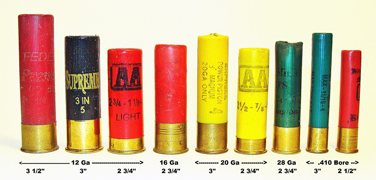 Shotgun Shell Lineup