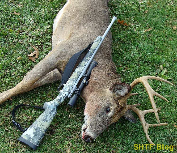 300 BLK Buck Kimber