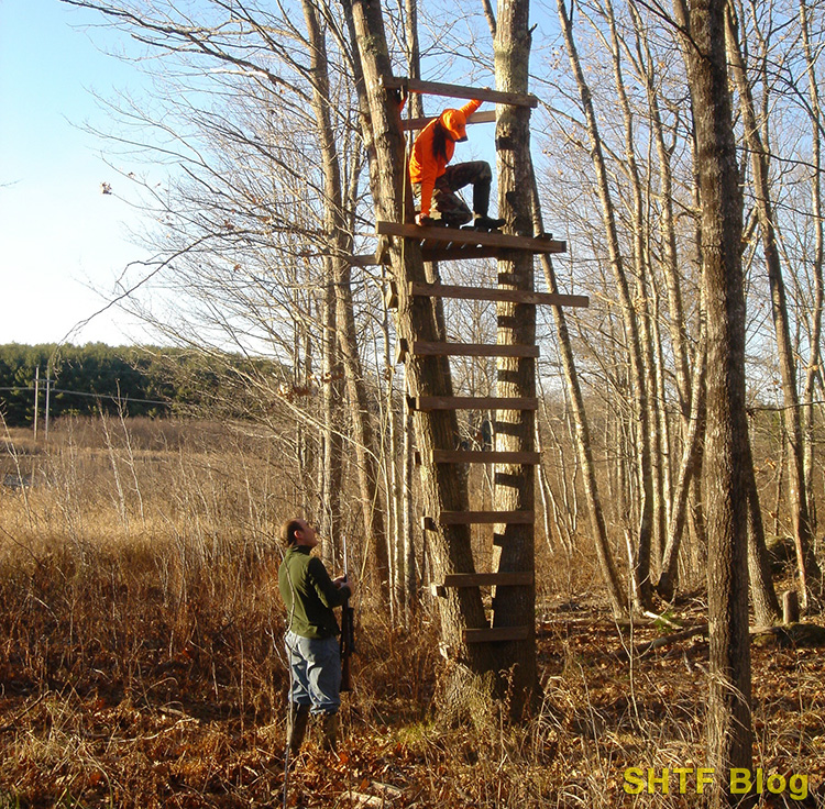 SB 68 Loaded Chamber Holly Tree Stand