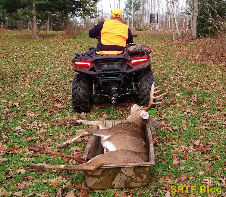 Deer Recovery