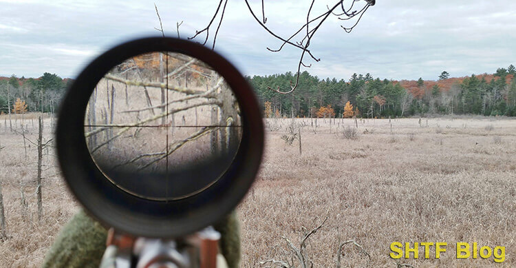 Deer Swamp Scope