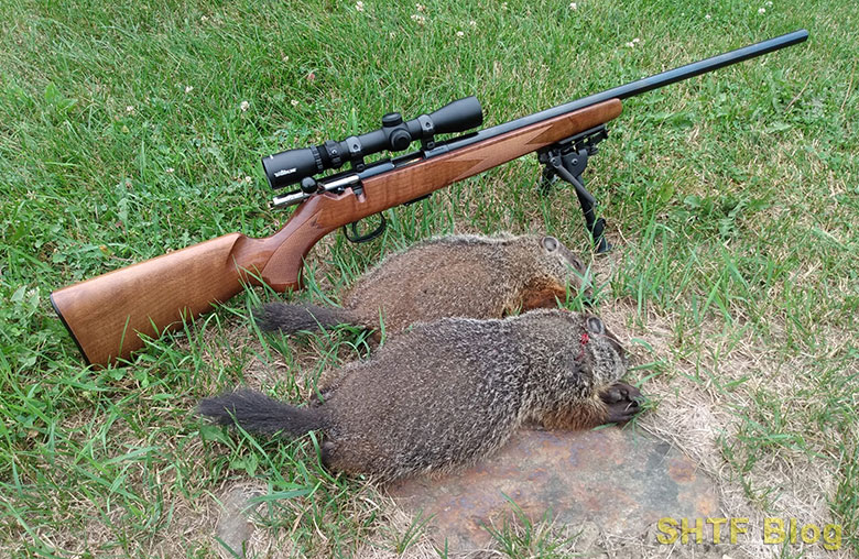 HMR and Woodchucks