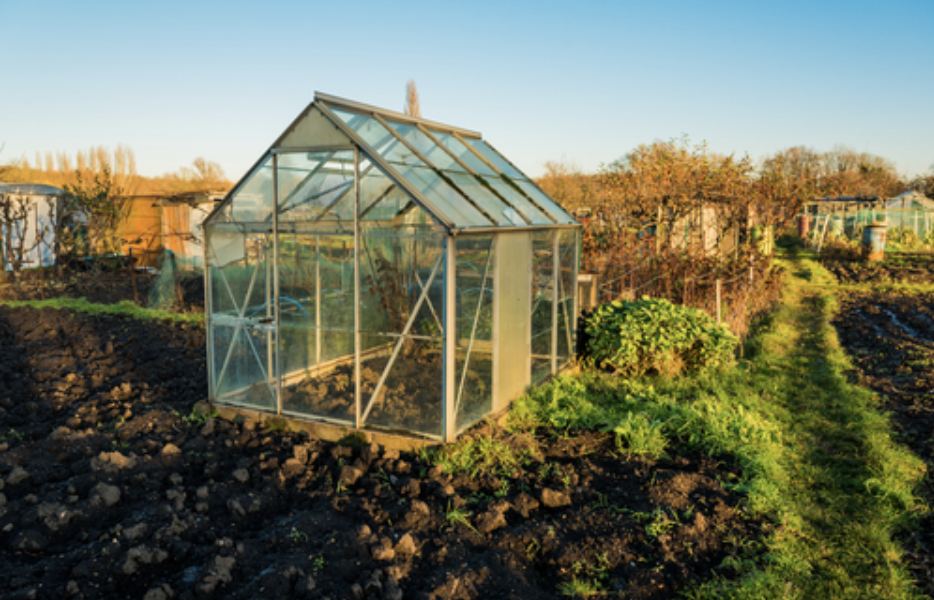 greenhouse garden