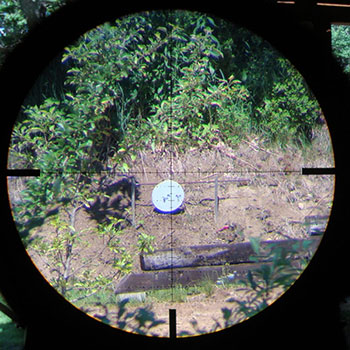 scope reticle