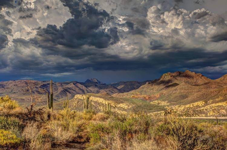 arid cactus cloud formation