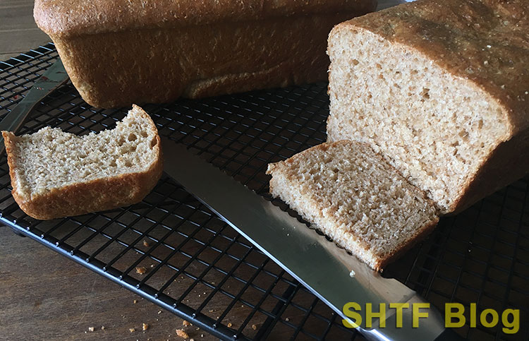 baking bread with hard wheat