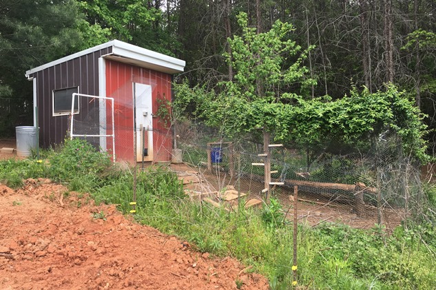 chicken coop