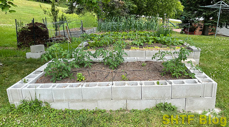 concrete block raised beds