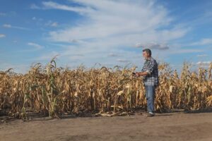 climate change prepper in drought