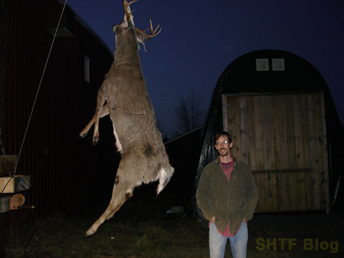 heavy Maine buck