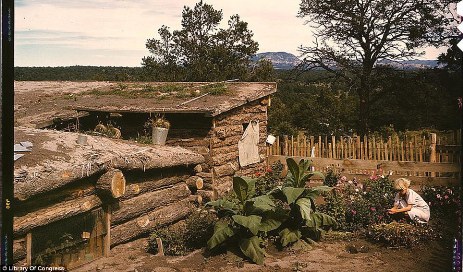 dugout cabin