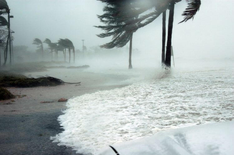 hurricane dennis in key west