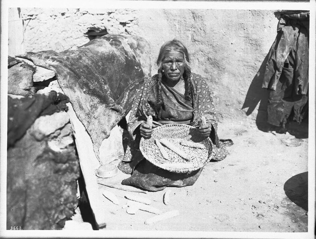 The image is a black and white historical photograph depicting an elderly Native American woman seated on the ground, holding a large basket filled with what appears to be beans or grains.