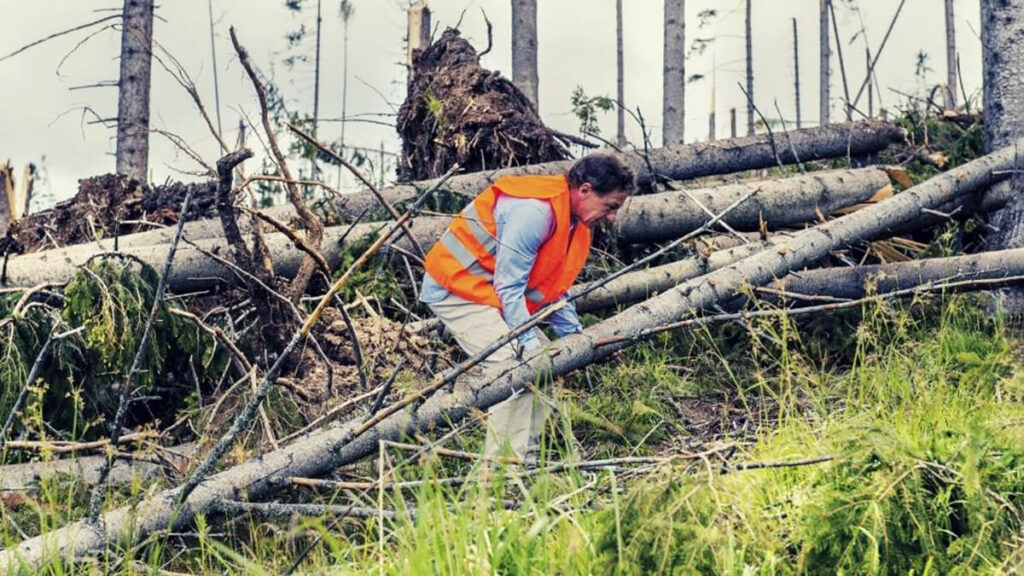 old man in forest disaster