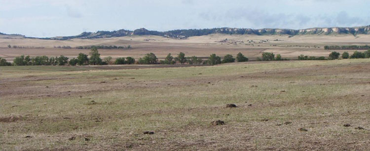 prairie open visibility