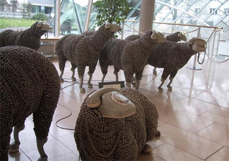 landline telephone sheep