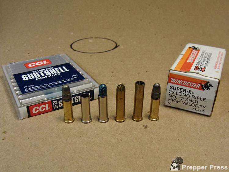 comparison of shot cartridge to standard 40-grain .22 LR