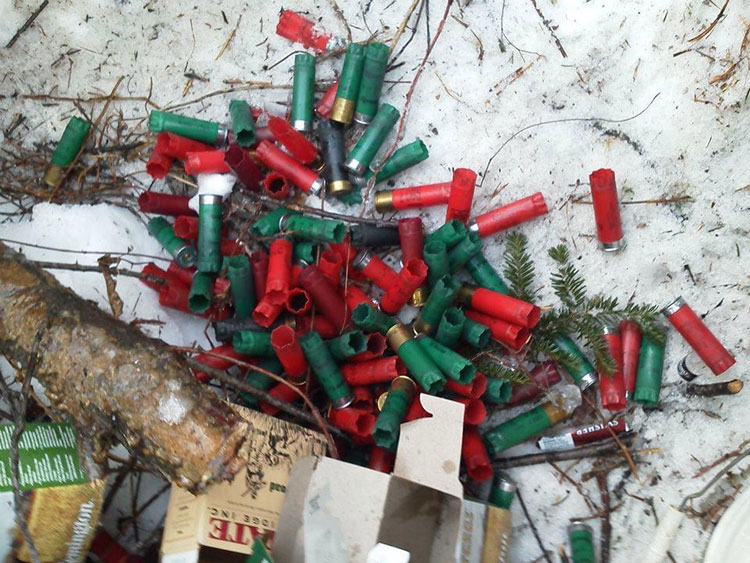 shotgun shells from shooting crows