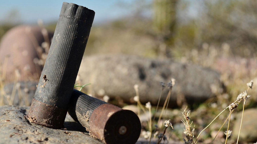 shotgun shells on ground