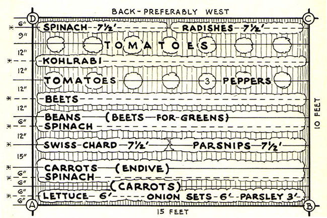 small victory garden size