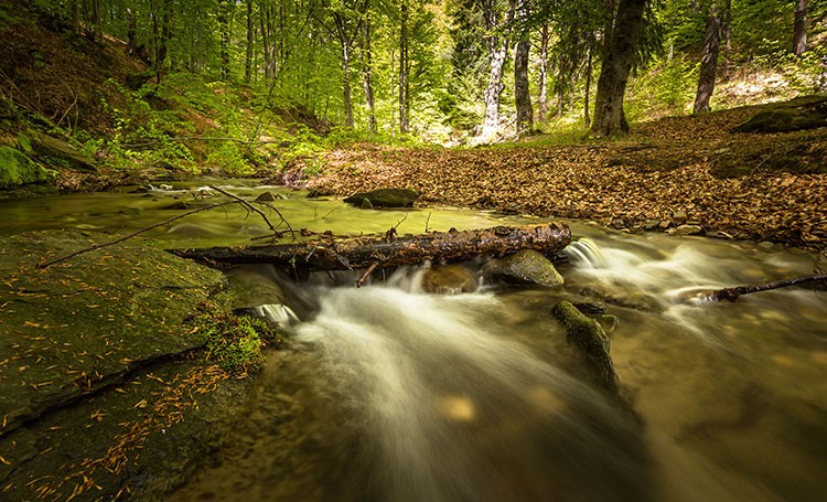 spring water runoff from snowpack