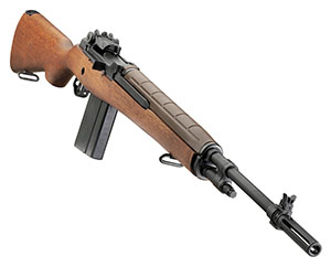 springfield m1a