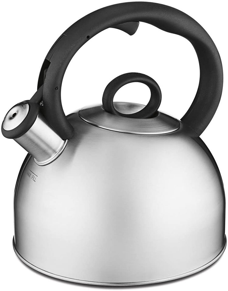 stainless steel teakettle