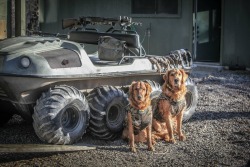 Best SHTF ATV