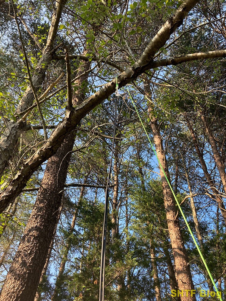 throw the rock over nearby branch