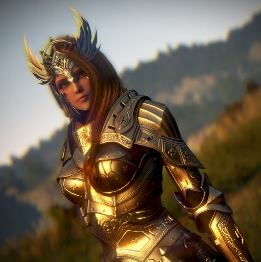 black desert valkyrie