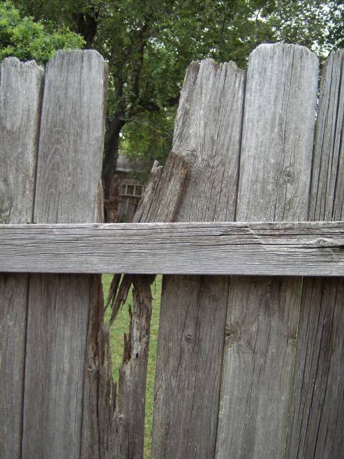 wood fence